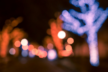 Similar image 10949971