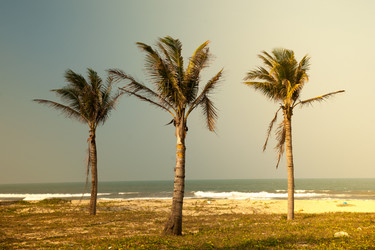 Similar image 10949973