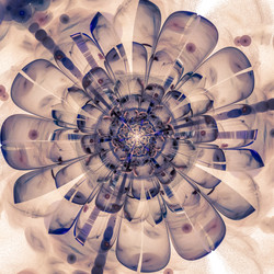 Similar image 10950015