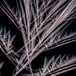 Similar image 10950017