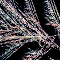 Similar image 10950019