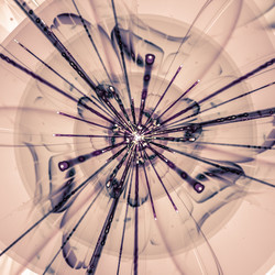 Similar image 10950036