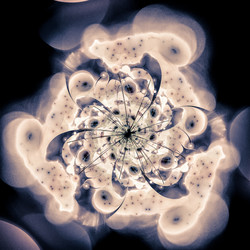 Similar image 10950062