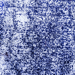 Similar image 10950078