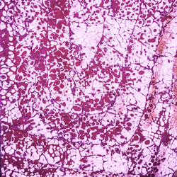 Similar image 10949692