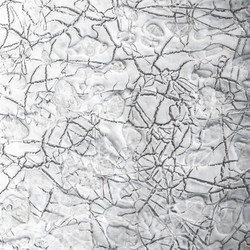 Similar image 10949693