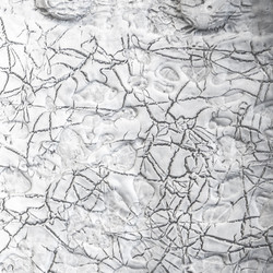 Similar image 10949696