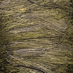 Similar image 10949702