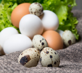 Similar image 10948229