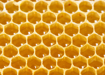 Similar image 10948233