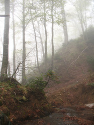 Similar image 10944922