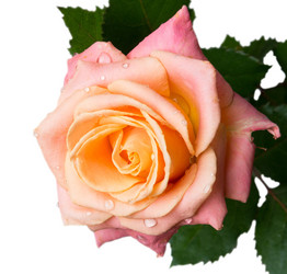 Similar image 10948201