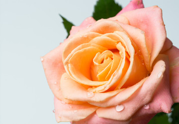 Similar image 10948218