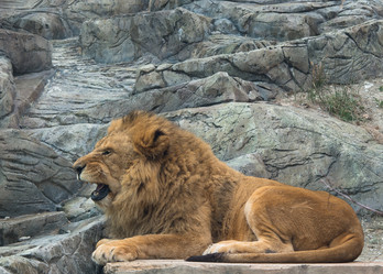 Similar image 10948222