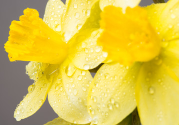 Similar image 10948223