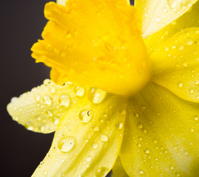 Similar image 10948224