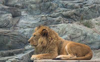 Similar image 10948226