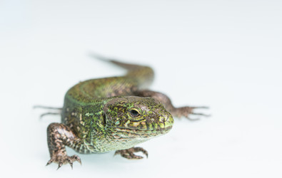 Similar image 10948238