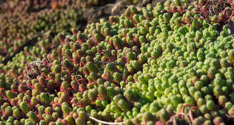 Similar image 10948244