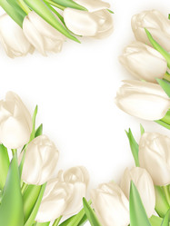 Similar image 10950099