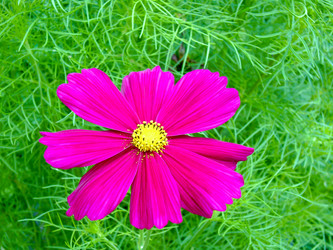 Similar image 10951241