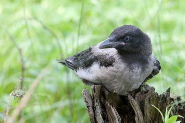 Similar image 10945174