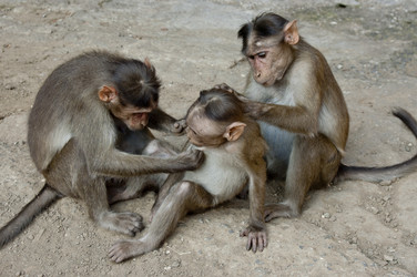 Similar image 10945759