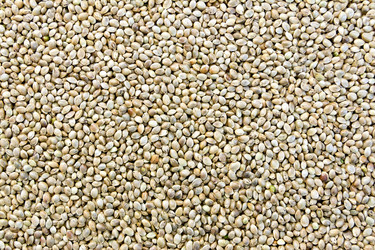 Similar image 10945366