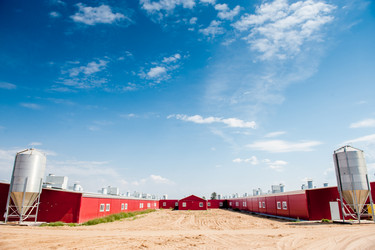 Similar image 10951350