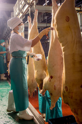 Similar image 10951363