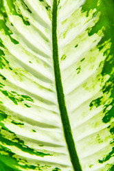 Similar image 10947618