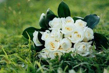 Similar image 10945402