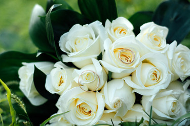 Similar image 10945404