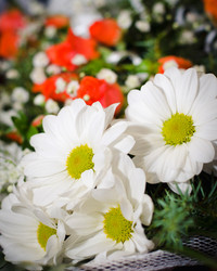 Similar image 10945422