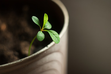 Similar image 10945995