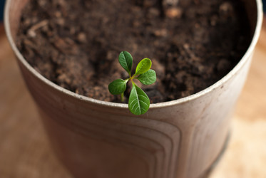 Similar image 10945996