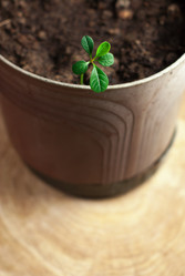 Similar image 10945997