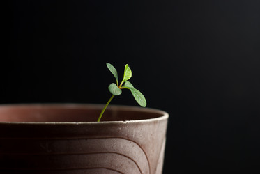 Similar image 10945998