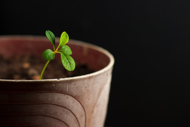 Similar image 10946000