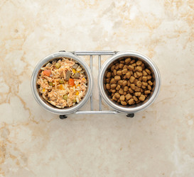 Similar image 10945456