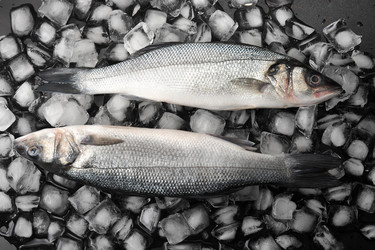 Similar image 10945479