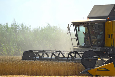 Similar image 10945449