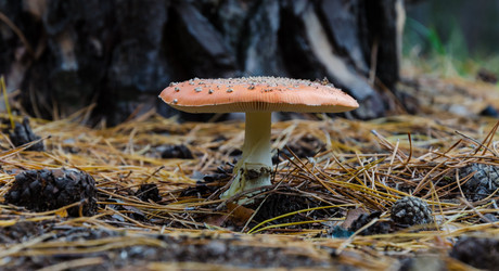 Similar image 10945406