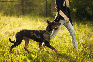 Similar image 10945774