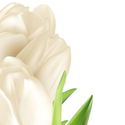 Similar image 10950241