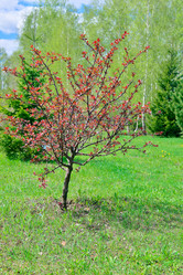 Similar image 10949831