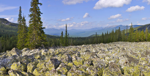 Similar image 10947453