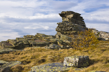 Similar image 10947454