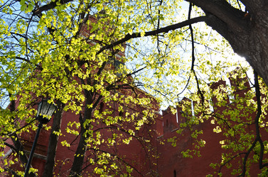 Similar image 10947719