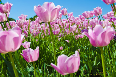 Similar image 10947741